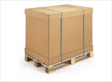 Cap and Sleeve Export Cardboard Boxes